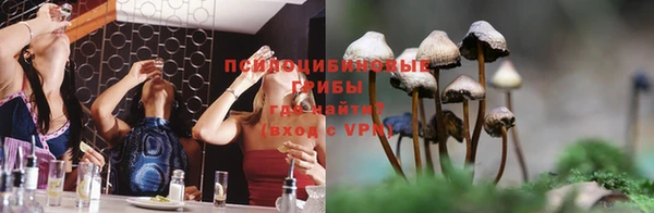герыч Аркадак