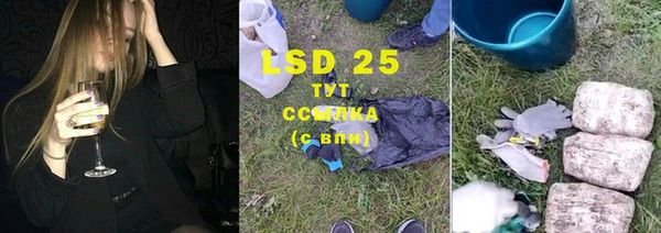 трава Арсеньев