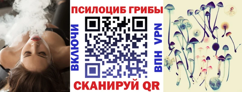 Галлюциногенные грибы мухоморы  Купить где  Нерюнгри 